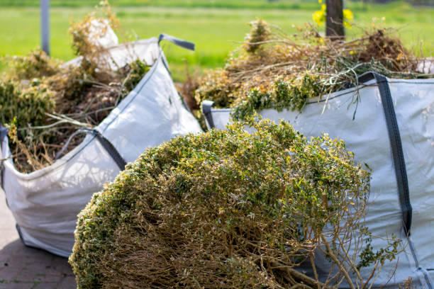 Best Full-Service Junk Removal  in Lake City, PA
