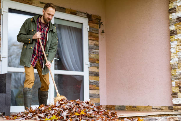 Best Furniture Removal Near Me  in Lake City, PA