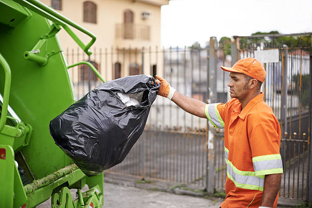 Yard Cleanup Services in Lake City, PA